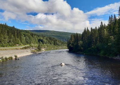 La Gaula à Haltdalen