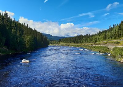 La Gaula à Haltdalen