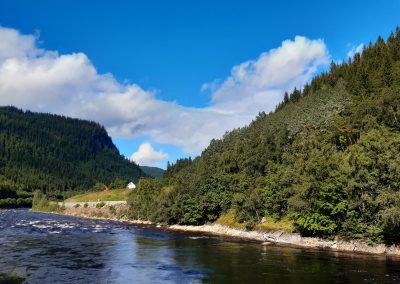 La Gaula en direction de Trondheim