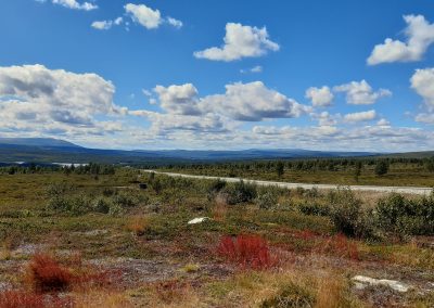 Les plateaux sur les hauteurs de Røros