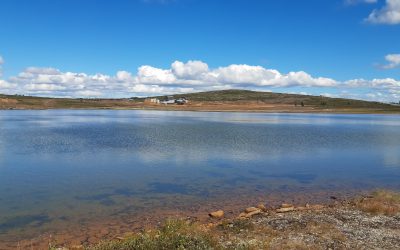 Les environs de la mine de Olavsgruva