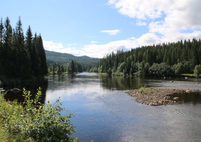 La Gaula à Haltdalen