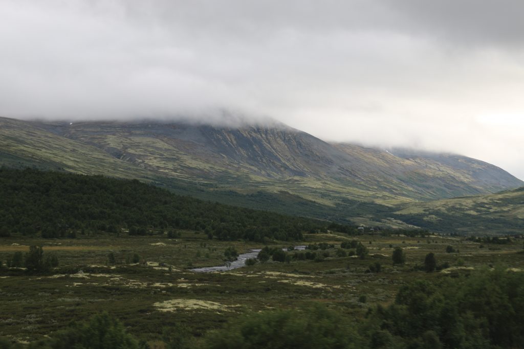 Dovrefjell