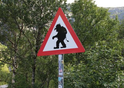 Attention aux Trolls!