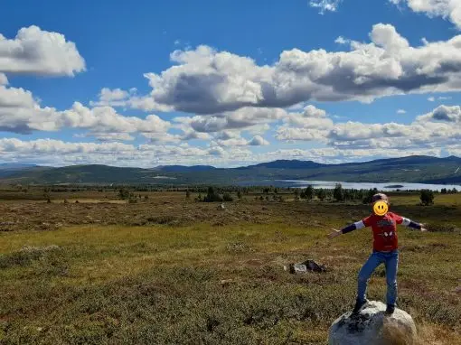 Le plateau au dessus de Røros